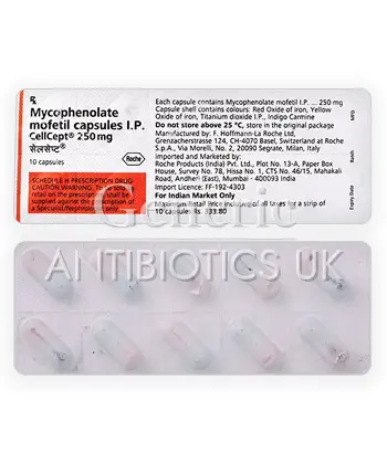 Mycophenolate Mofetil